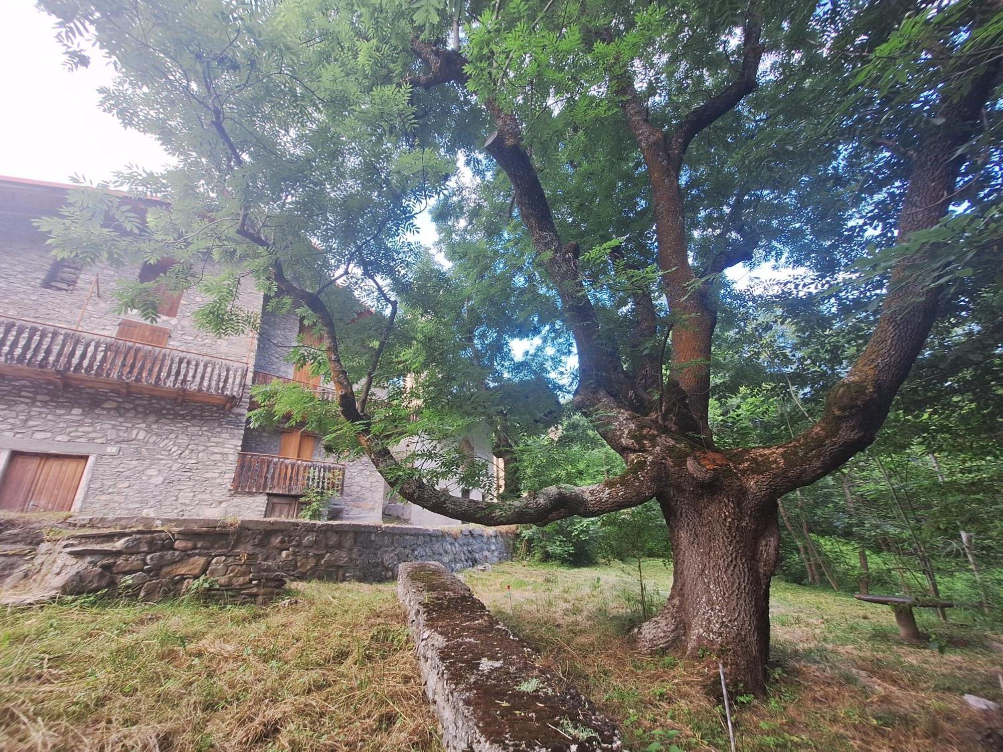 Ferienwohnung La Casa Del Gigante Frassino Acceglio Exterior foto
